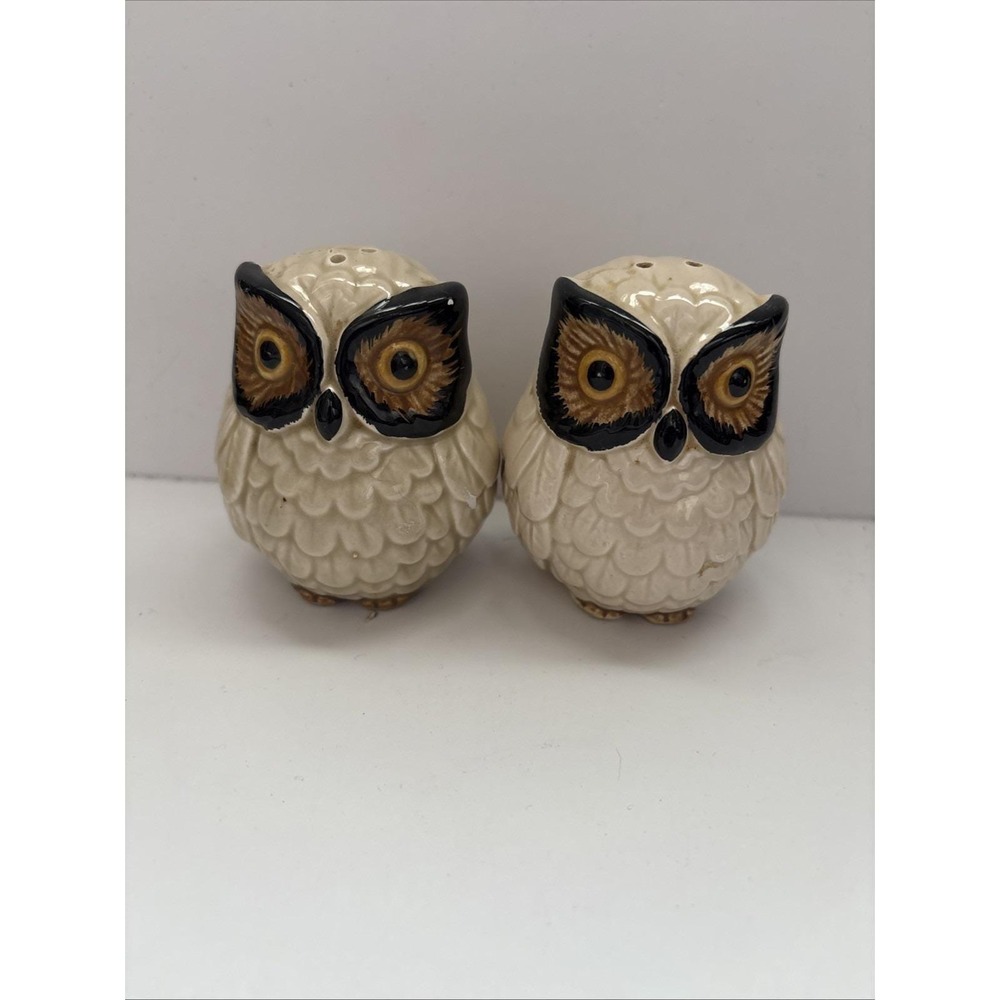 Vintage Ceramic Owl Salt Pepper And Pepper Shakers Pair w/ Corks Retro Kitchen